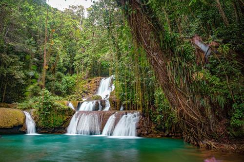 Waterfalls, Natural Pools & Gorgeous Gardens - Your Jamaica YS Falls Family Adventure Awaits!