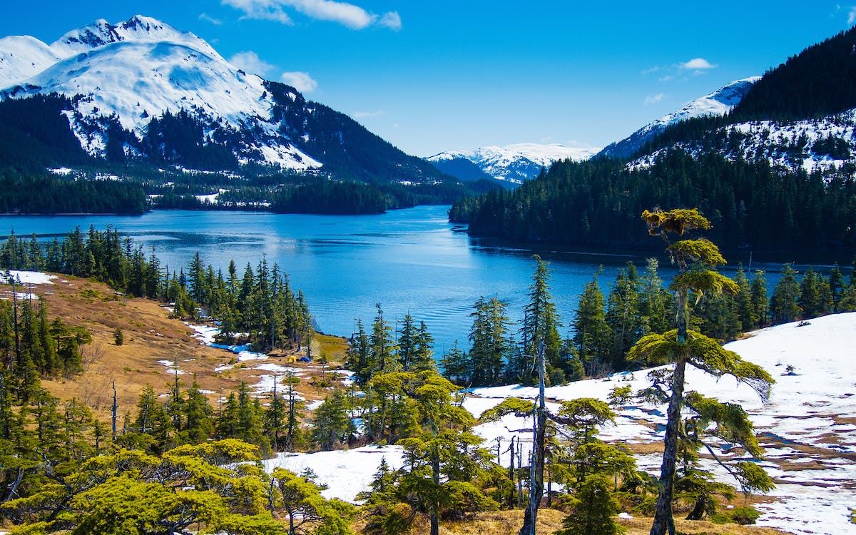 Cruising Alaska: Exploring Tracy Arm and Navigating Calving Glaciers
