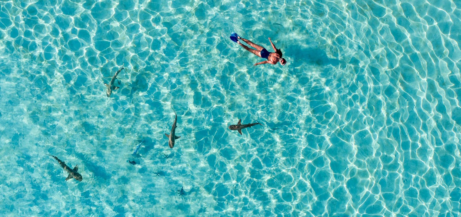 Everything You Need to Know about French Polynesia