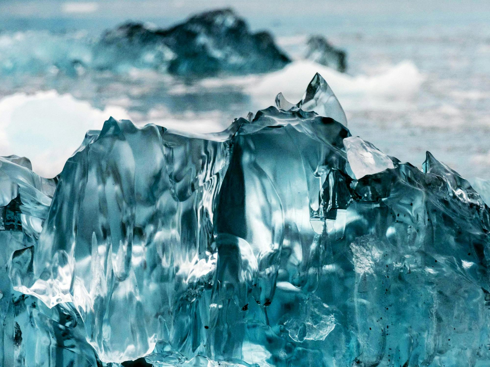 Photographing Details in Alaska: The Largest State and Its Minute Grandeur
