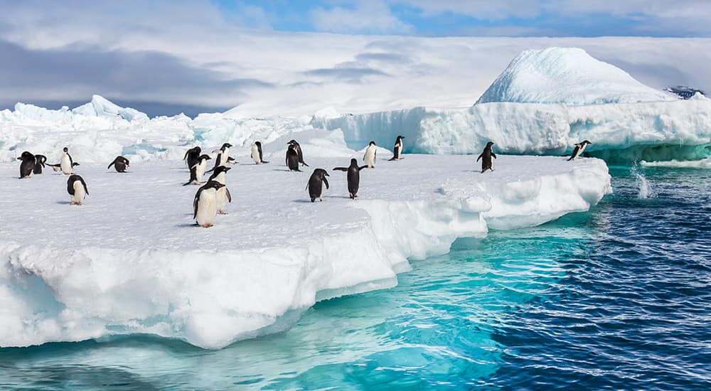 Cruise to Antarctica