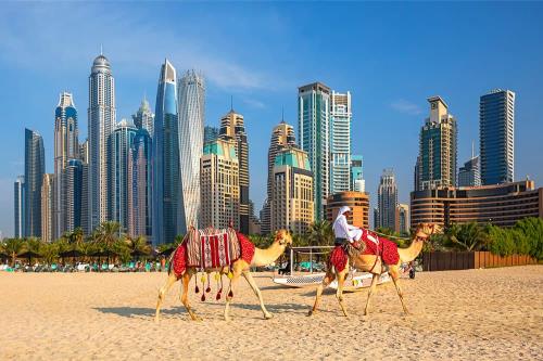 Dubai Cruises: Explore Egypt, South Africa, Seychelles & More