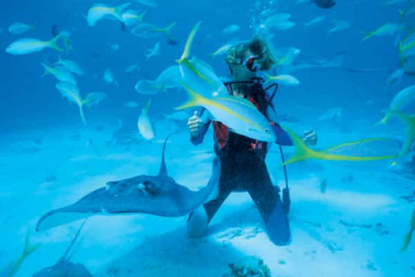 Stingray City