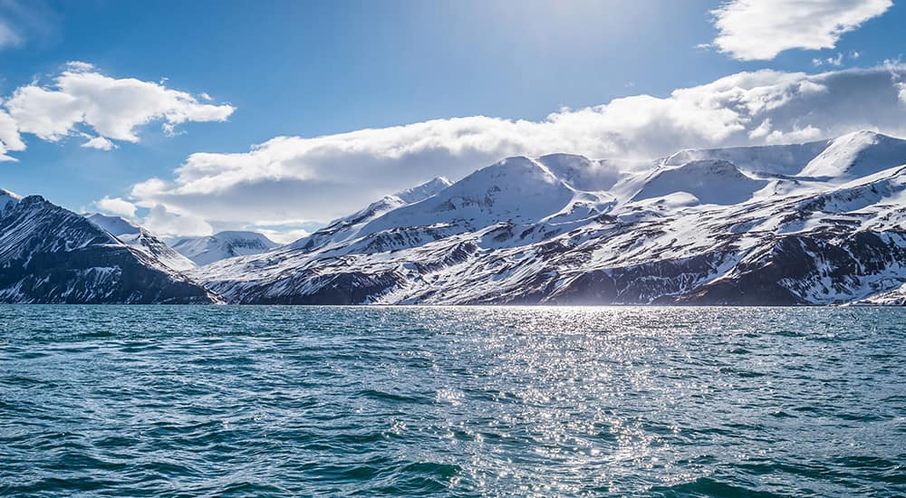 Cruise past stunning glaciers in Iceland
