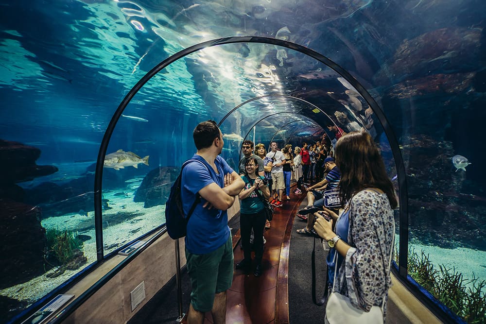 Barcelona Aquarium