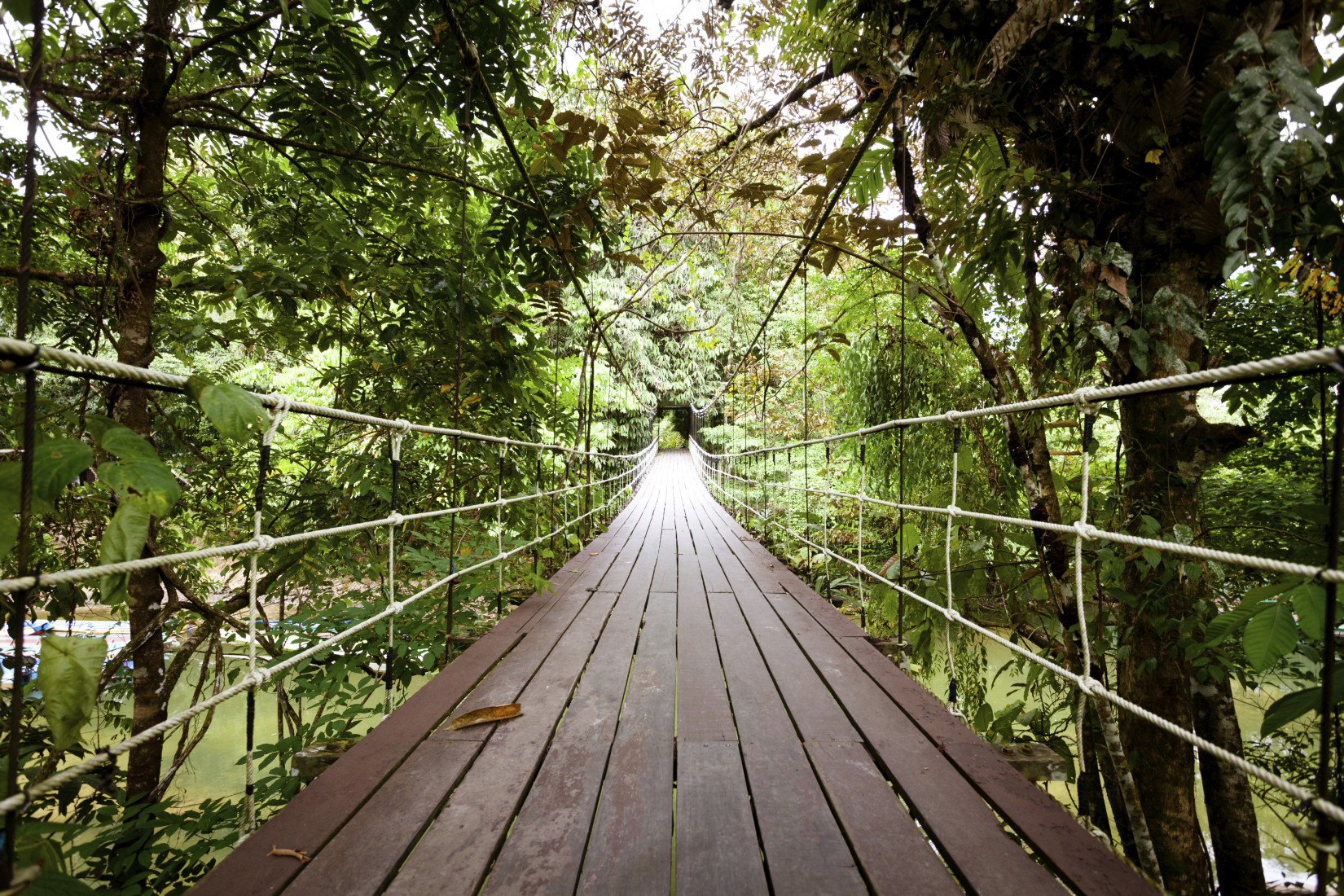 botanical-garden-with-suspension-bridge