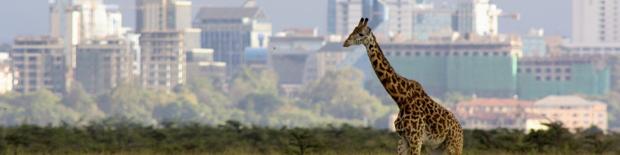 Nairobi Travel travel agents packages deals