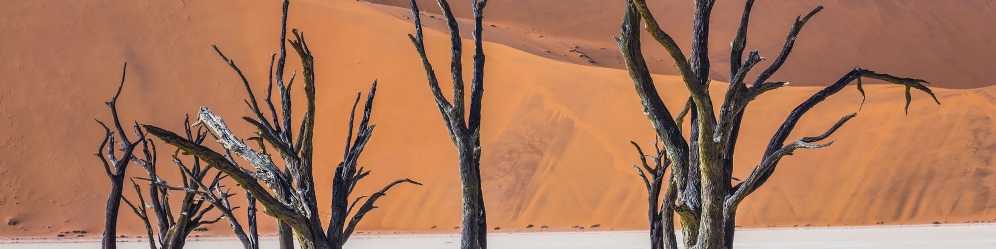 Namibia Travel travel agents packages deals