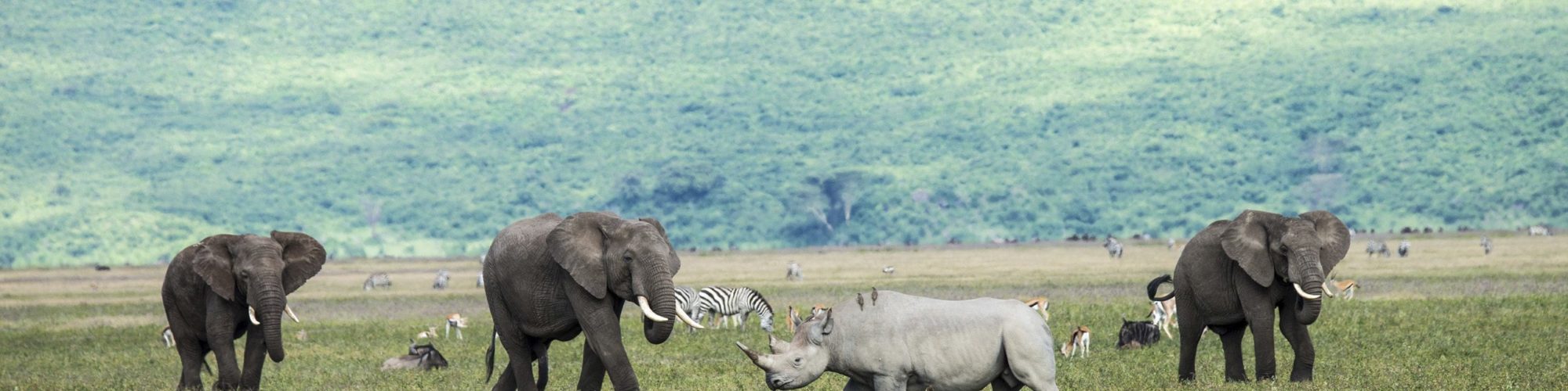 Ngorongoro Crater travel agents packages deals