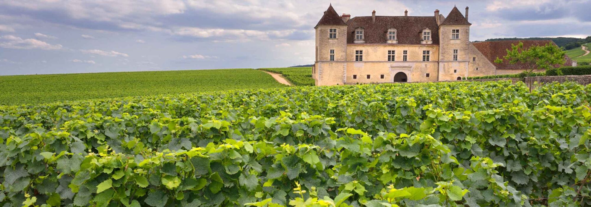 Burgundy Travel travel agents packages deals
