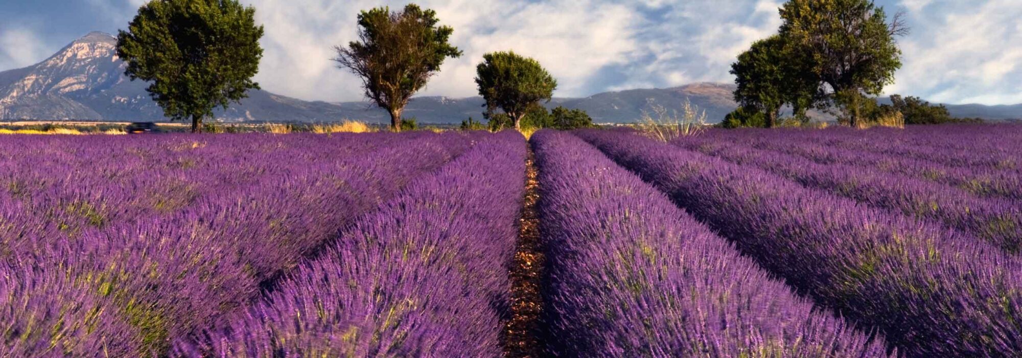 Provence travel agents packages deals