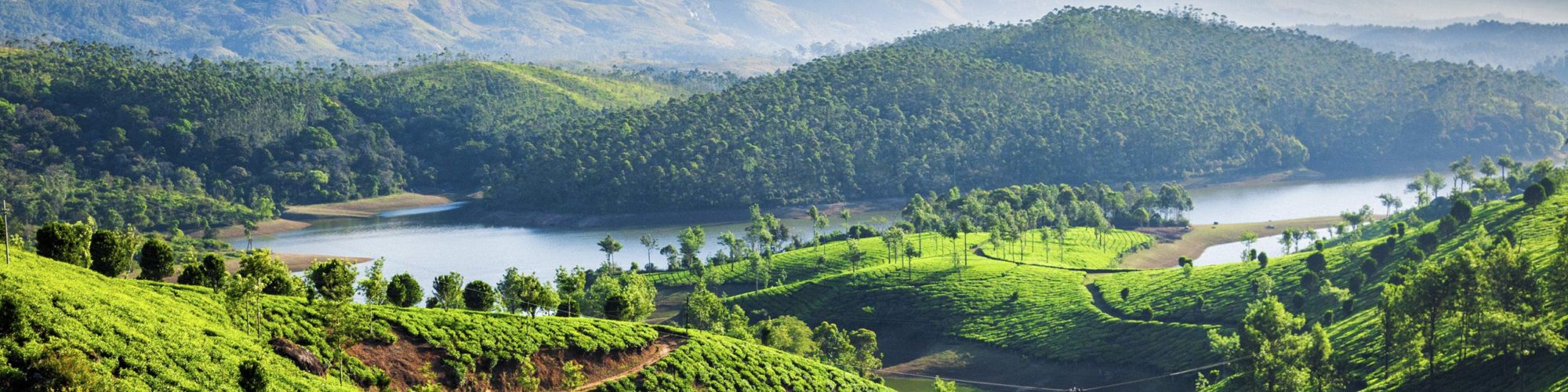 Munnar Travel travel agents packages deals