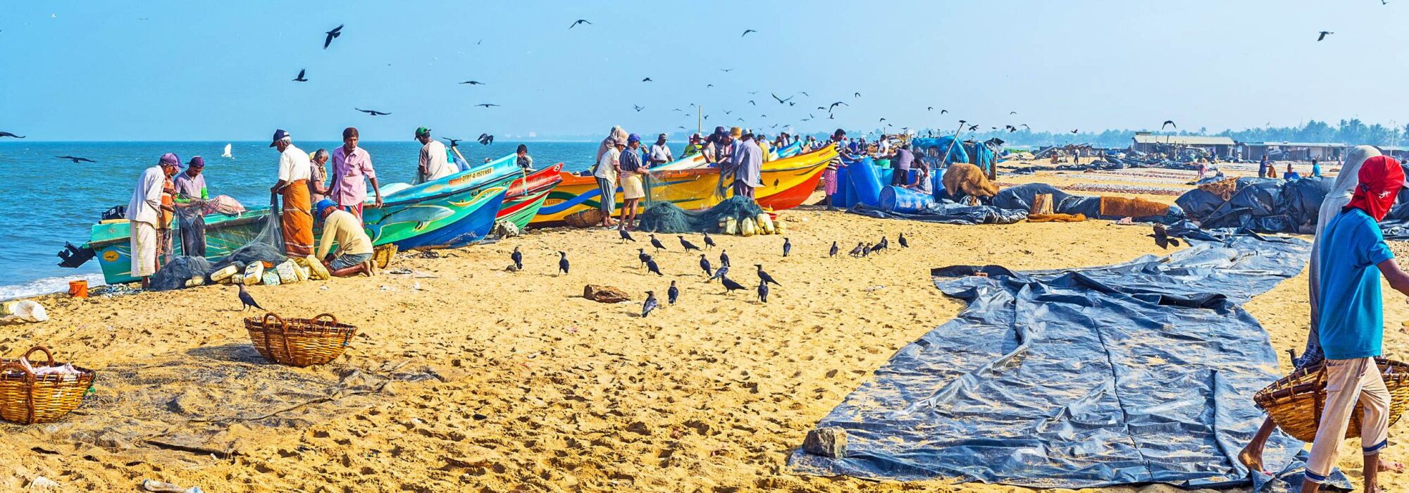 Negombo Travel travel agents packages deals
