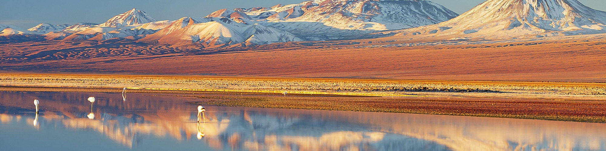 Atacama Desert travel agents packages deals