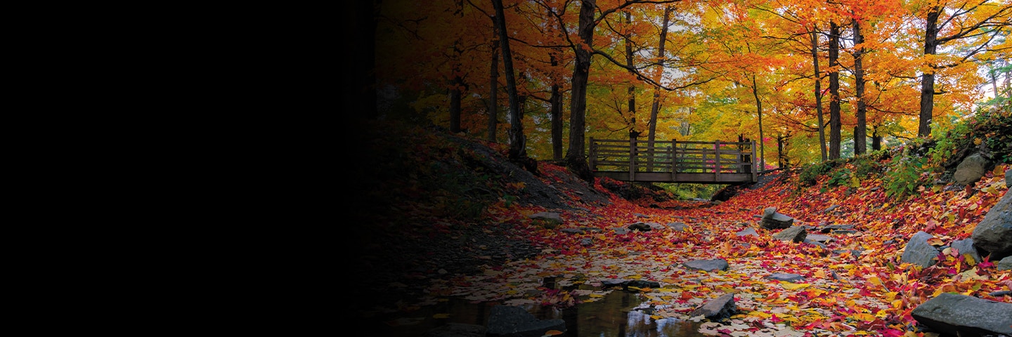 Top 5 Spots toSee the Colors of Fall