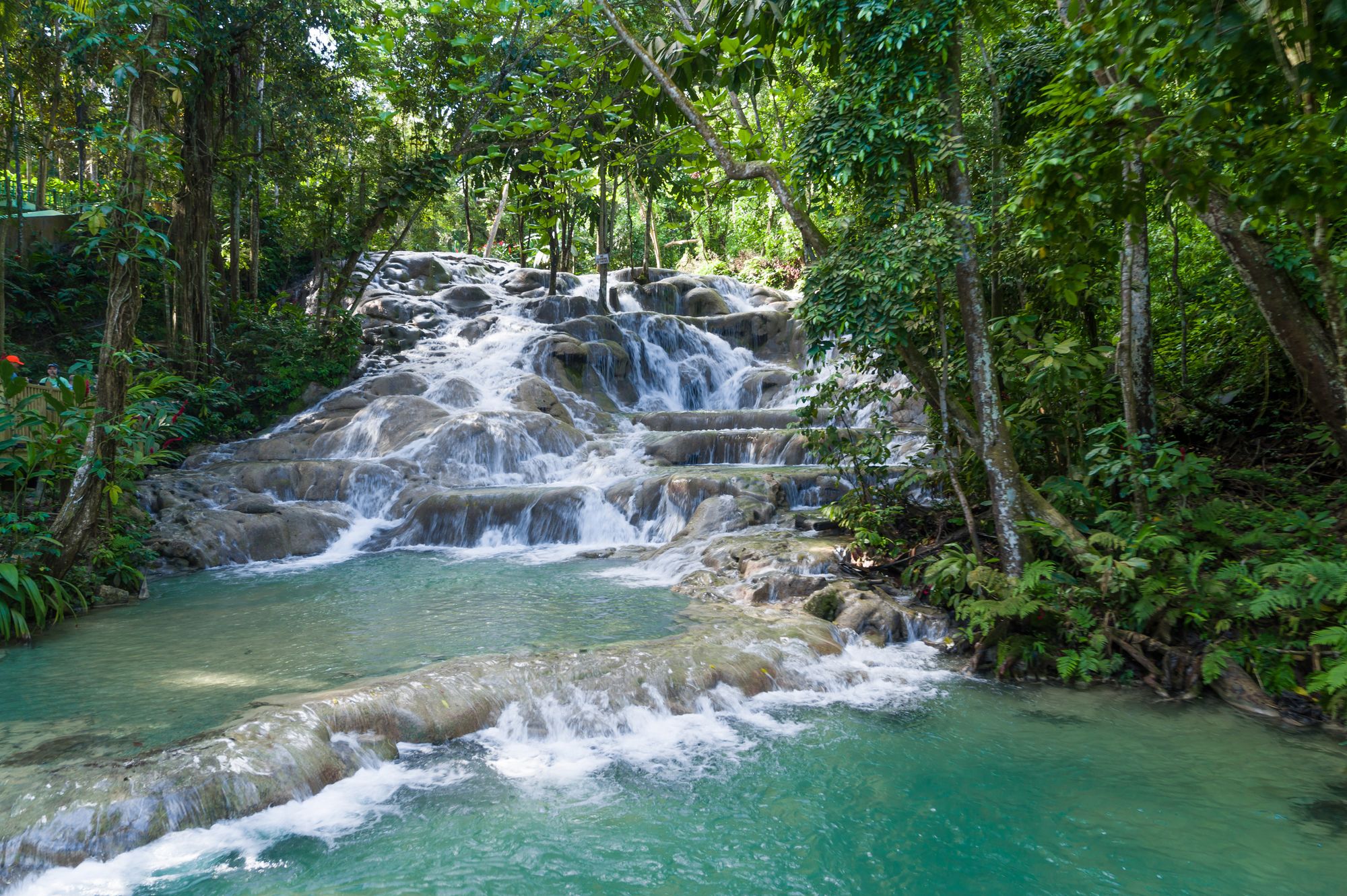 Dunn's River Falls: The Complete Guide