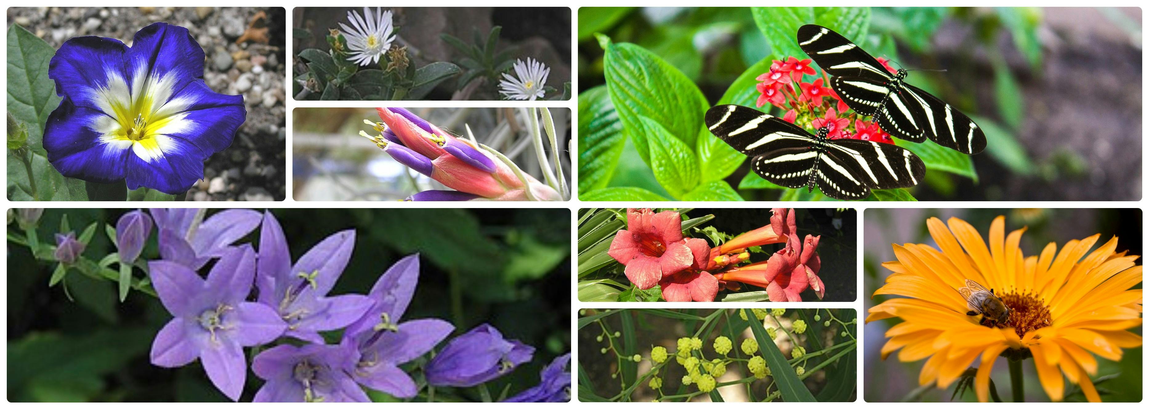 Amsterdam’s Botanic Garden Is a Place of Light That Grew from the Dark