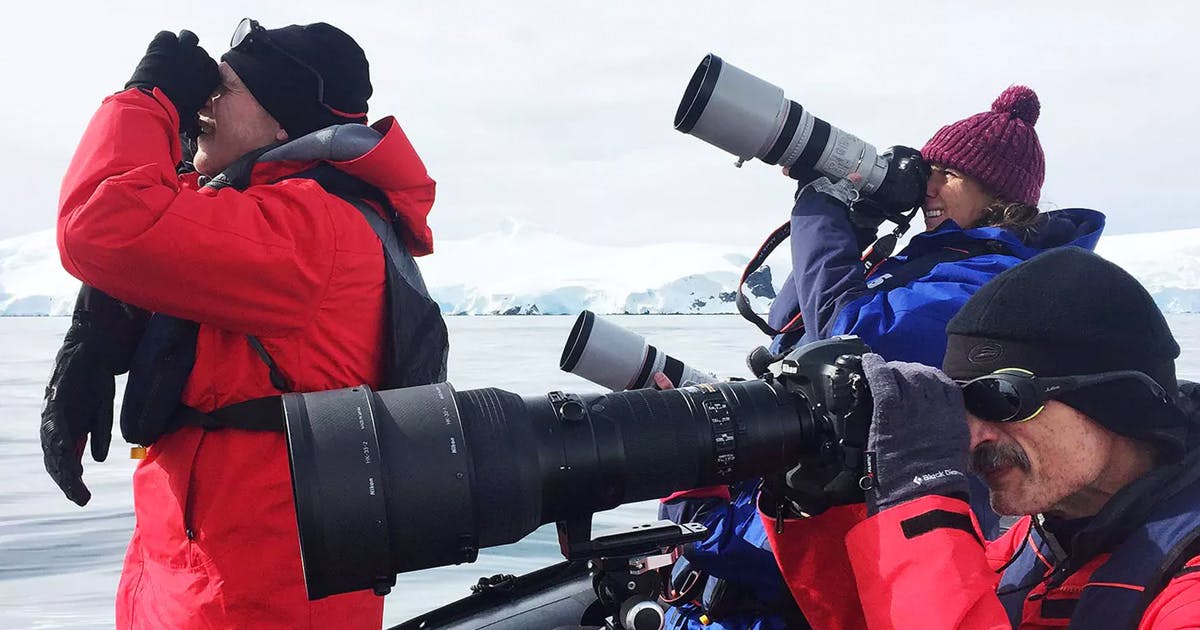 Antarctica Photography in the Wild: Expert Tips for Capturing the Creatures of The Ice