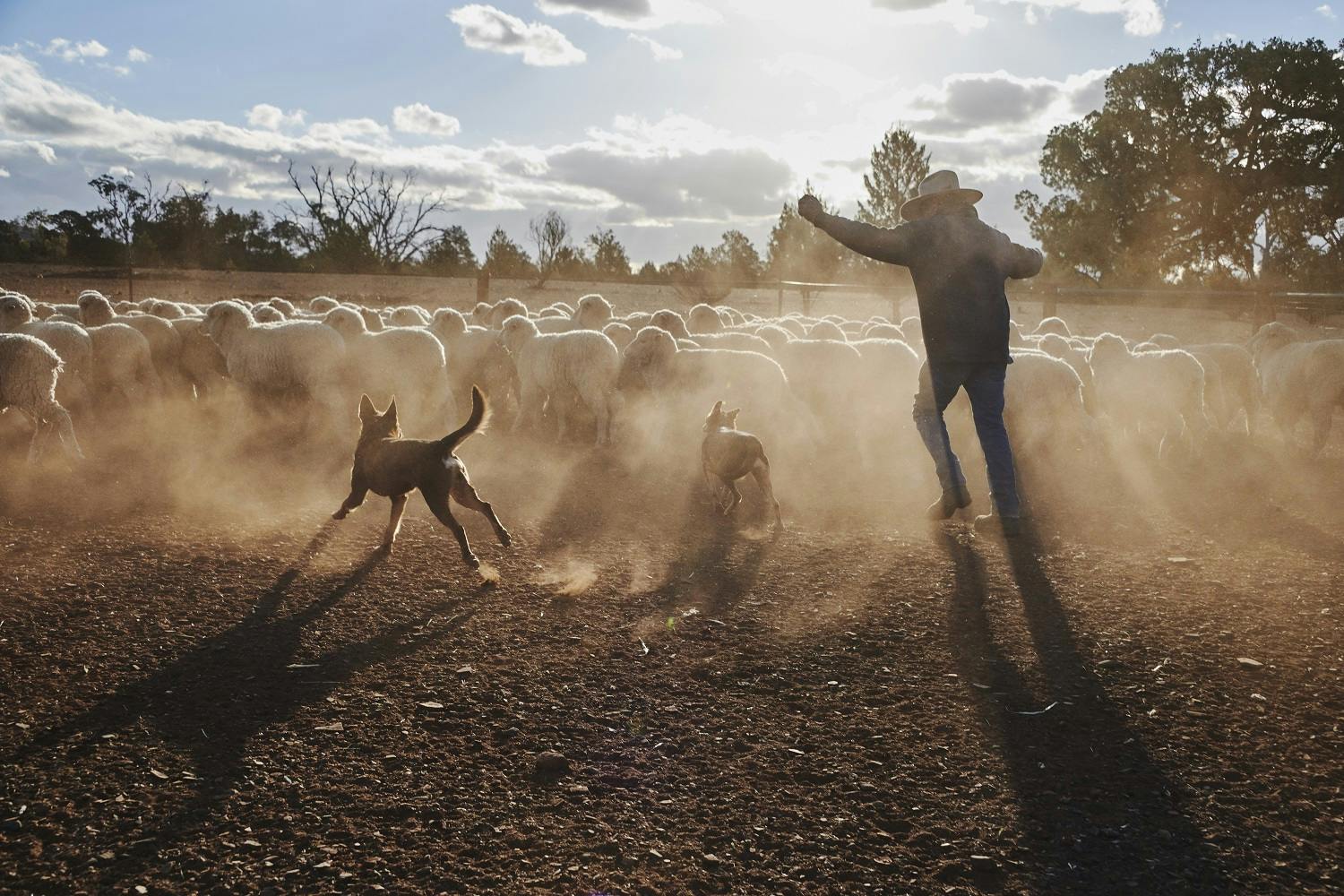 Australia by Steve McCurry