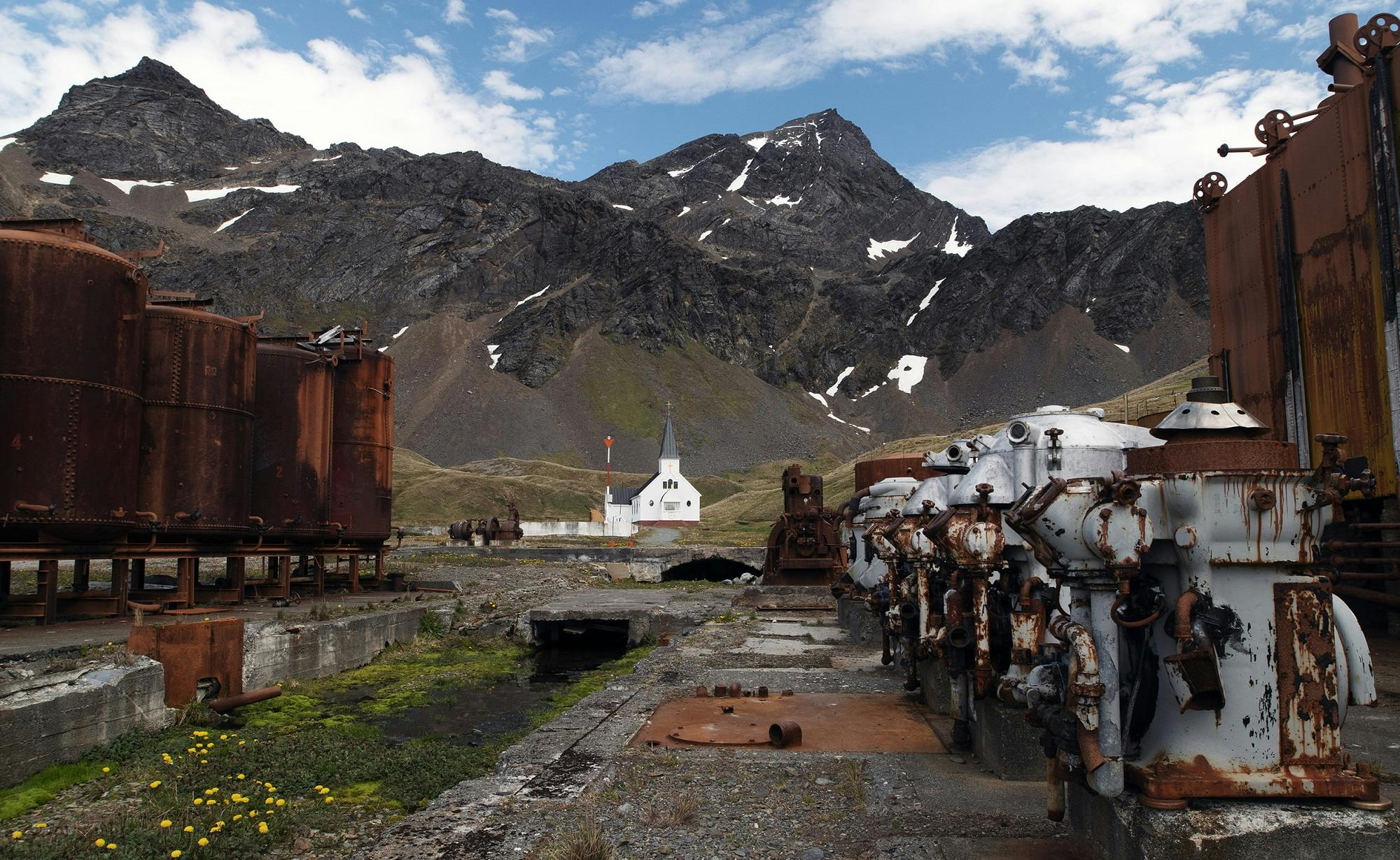 Behind the Lens: An Emotional Moment in Grytviken