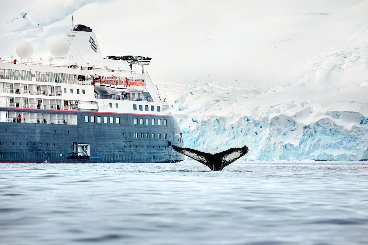 Capturing the White Wilderness: 7 Steps to Stunning Antarctica Photography