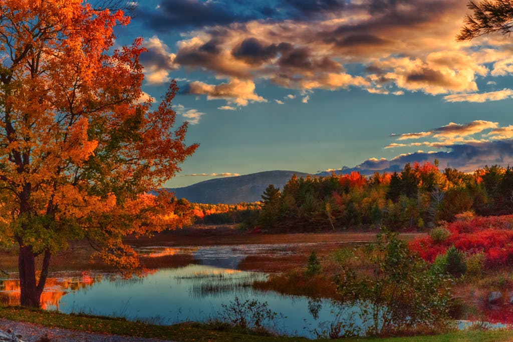 Color Your World by Following Fall in Canada and New England