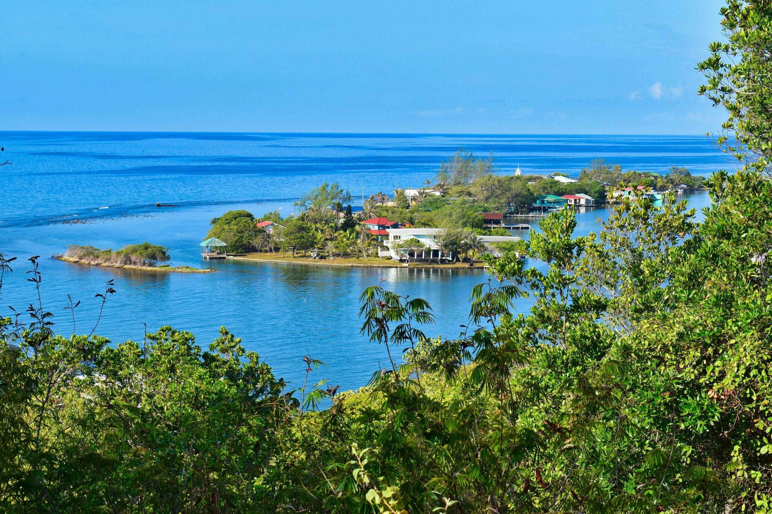 Food in Honduras with S.A.L.T. Experiences — Featuring Roatán, a Caribbean Gem