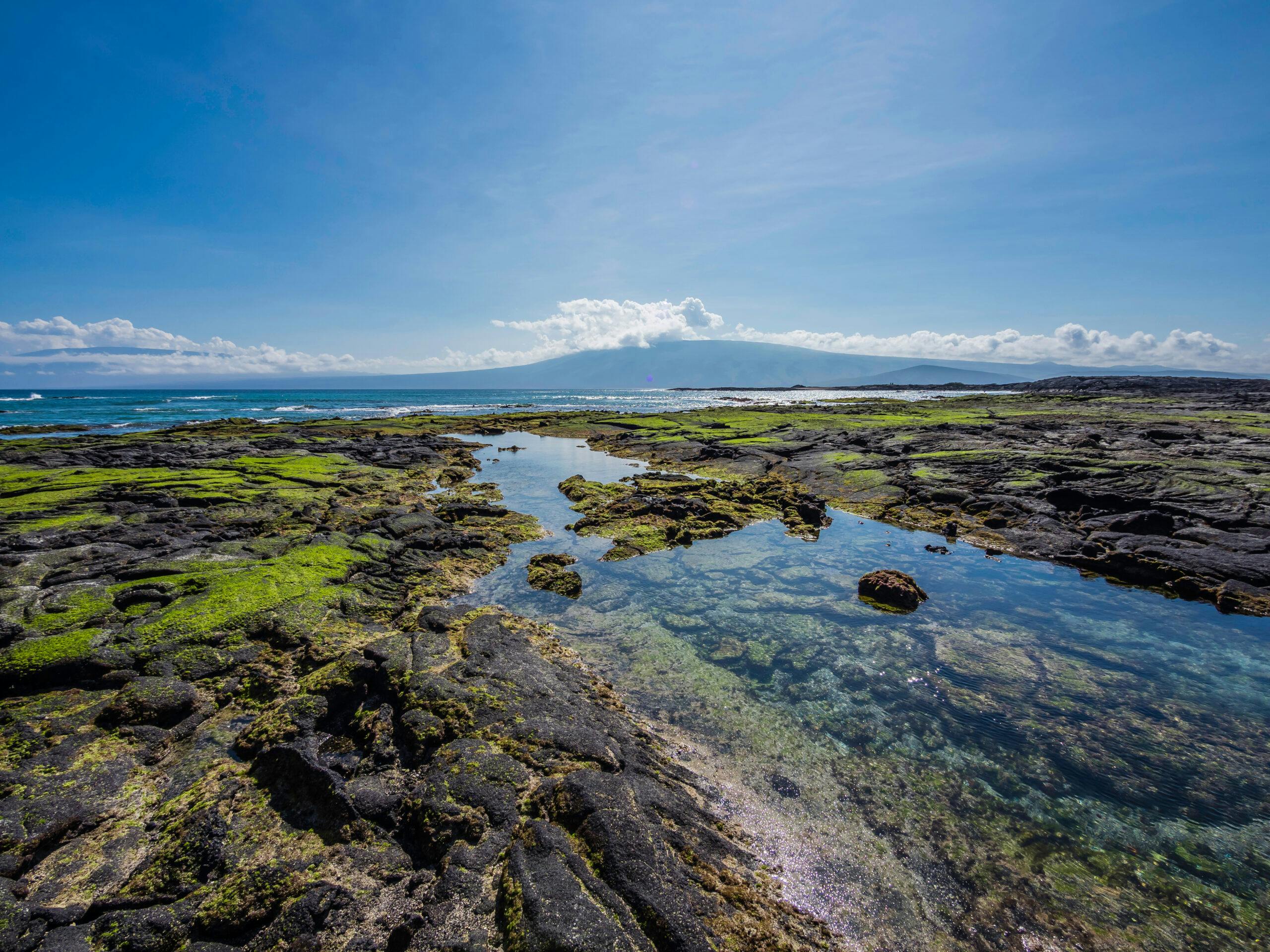 In the Galápagos, Silversea Leads an Environmental Conservation Initiative