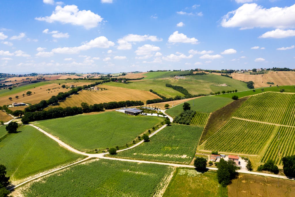 On the Culinary Trail: Relishing Italy’s Artisanal Pasta with S.A.L.T. Lab Radio