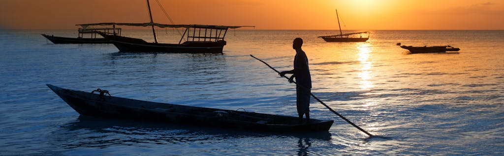 Pico Iyer on Counting the Cats in Zanzibar