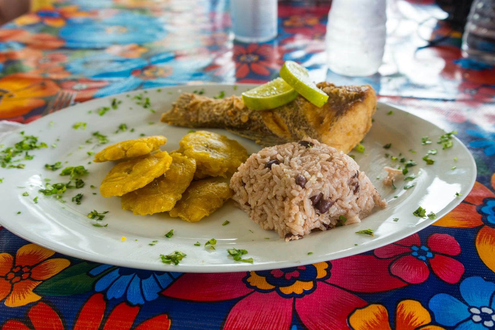 S.A.L.T Spotlight: Central America Tells a Story Through Culinary Experience