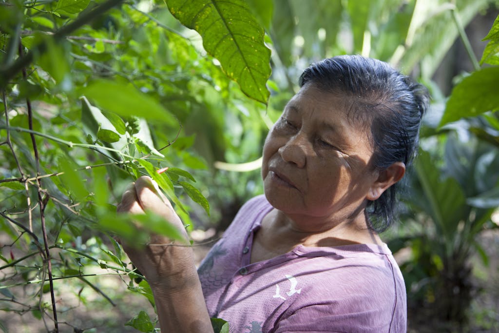 S.A.L.T. Spotlight: Here’s Why Latin American Foods Taste Surprisingly Familiar