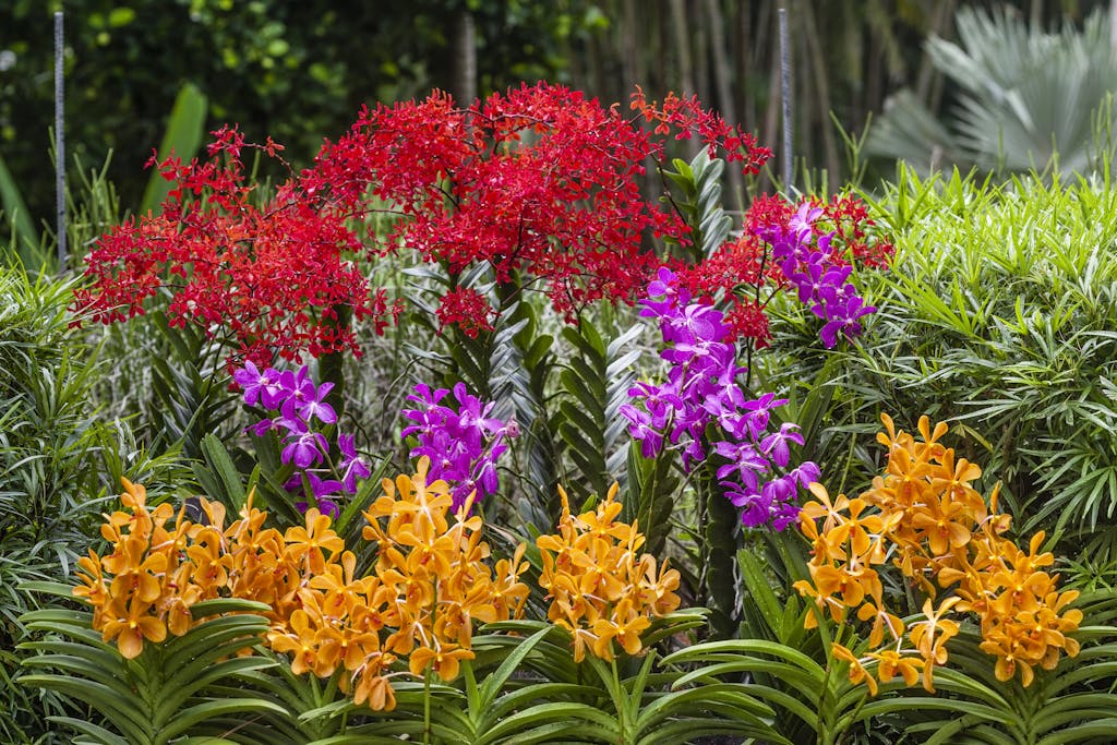 Singapore’s Gardens Abloom with a Palette of Plants You Won’t Find Anywhere Else