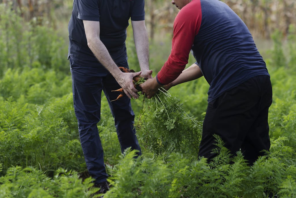 Sustainability in the Galápagos: Local Products Elevate Ecuadorian Cuisine