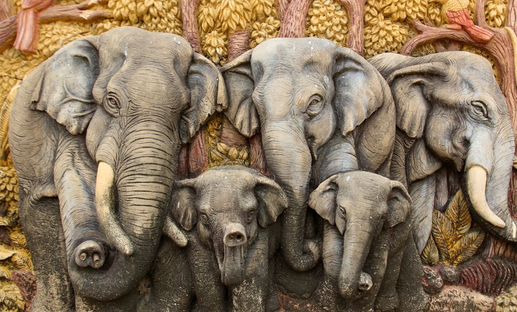 Things to Do in Bangkok and Beyond on Your Trip to Thailand? Seeing Elephants!