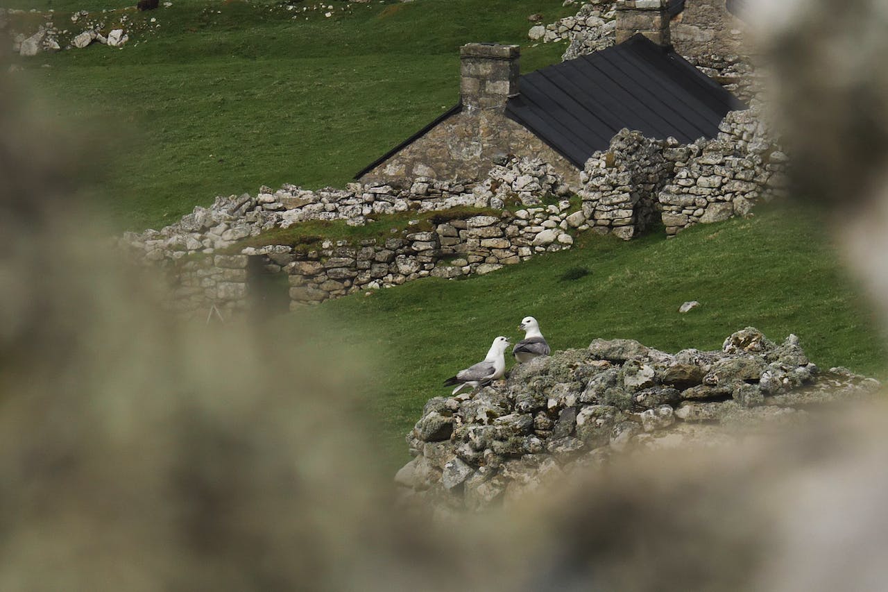 What to Do in the Outer Hebrides: A Behind-the-Scenes Look at St Kilda