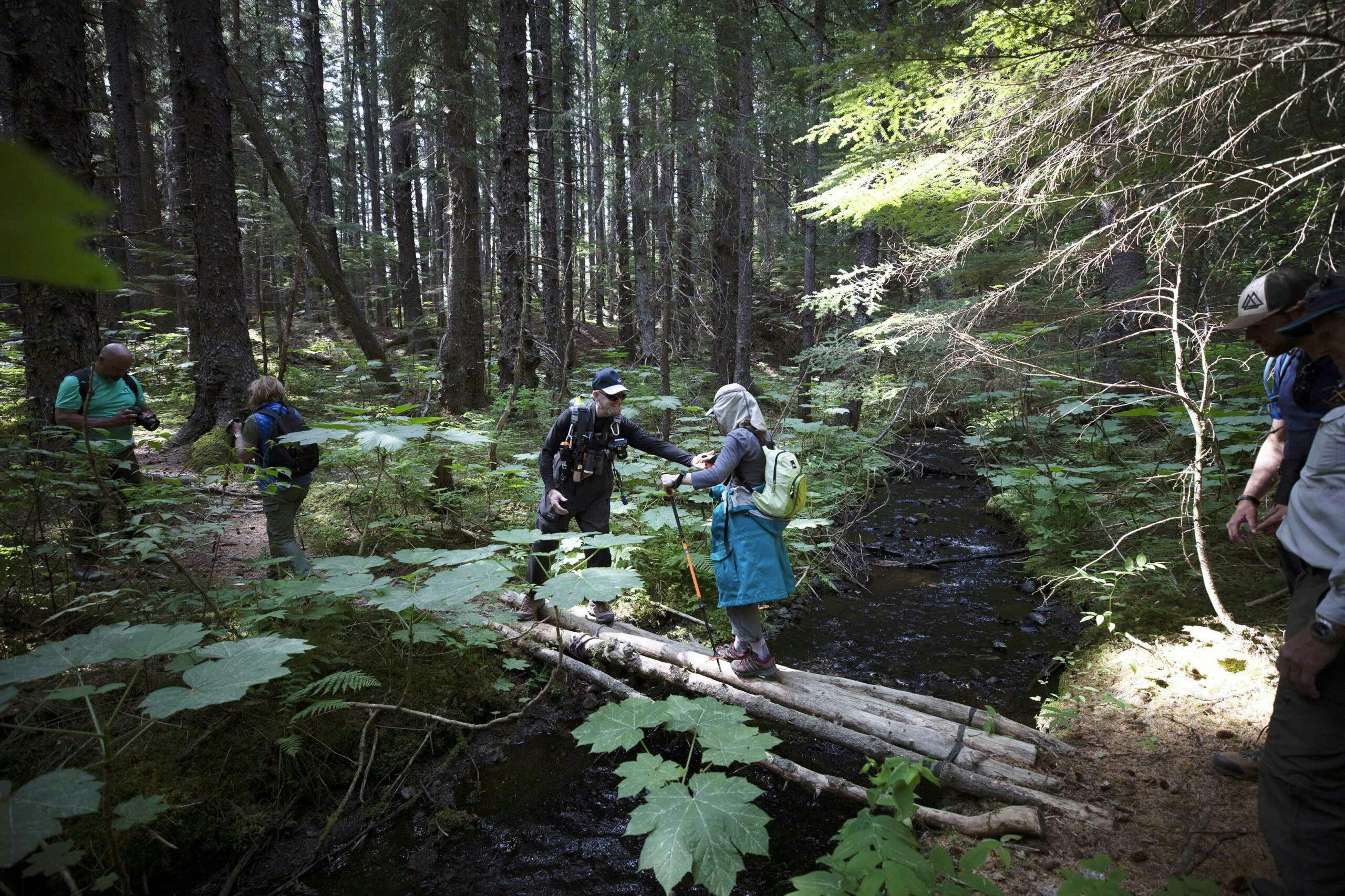 What You Will Discover by Hiking into Alaska’s Glacial Beauty