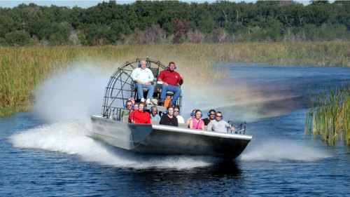 Gray Line New Orleans: Airboat Adventure