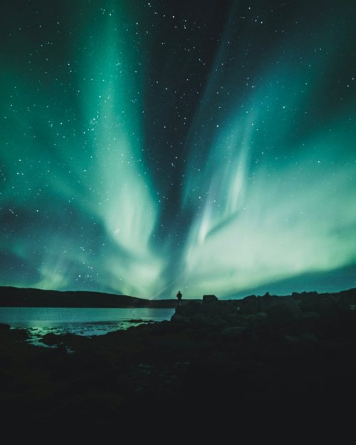 Lindblad Expeditions vs. Hurtigruten HX: Which Expedition Cruise Line is Right for You?