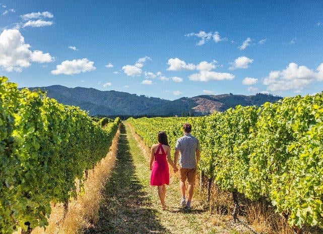 Emerald Wine Tasting