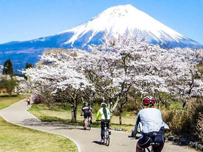 Cycling Vacations & Bike Tours travel agents