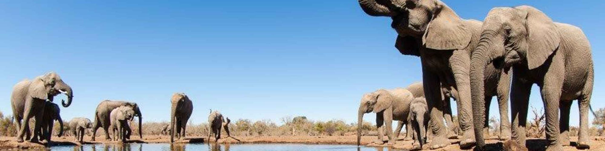 Mashatu Game Reserve travel agents packages deals