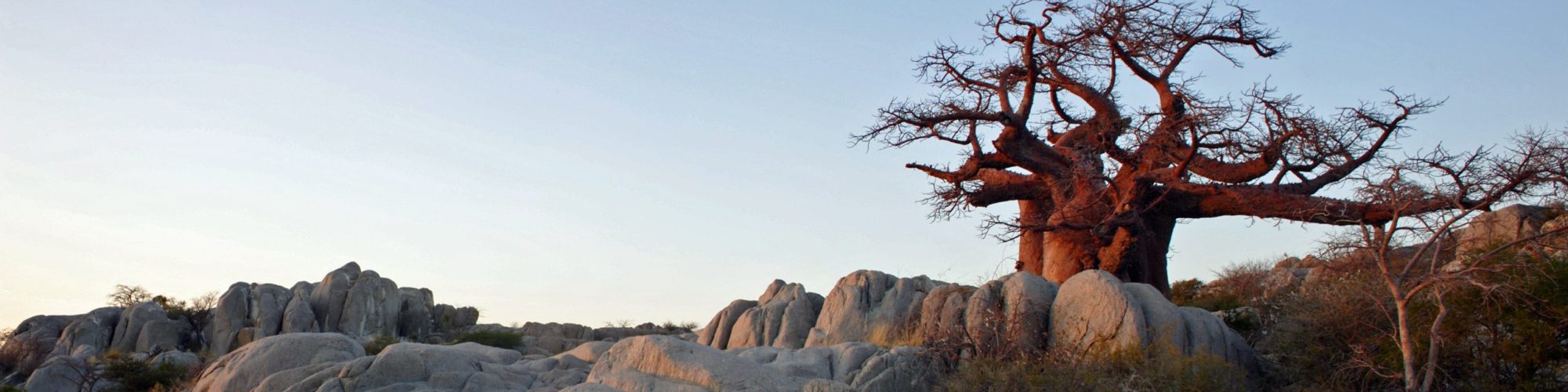 Botswana travel agents packages deals