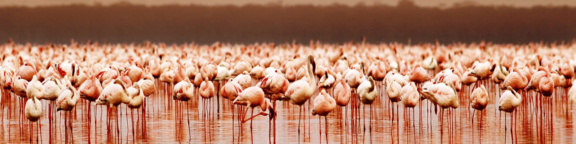 Nakuru travel agents packages deals