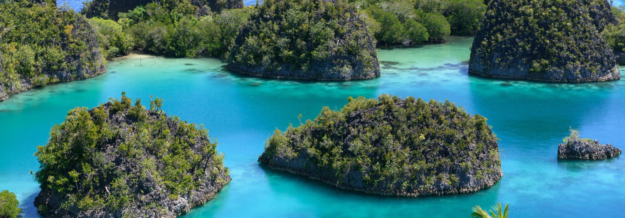 Raja Ampat travel agents packages deals