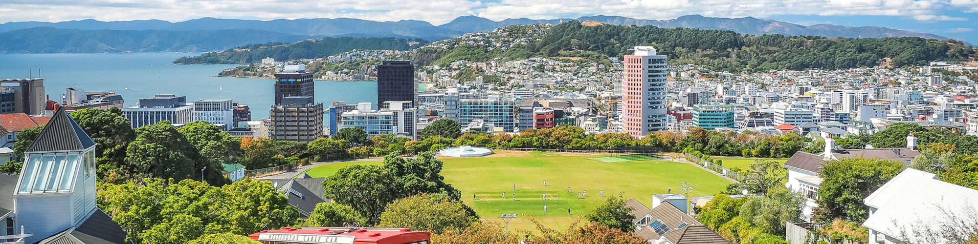 Wellington travel agents packages deals