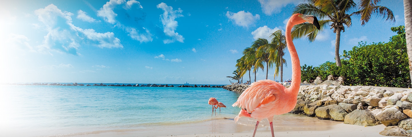Aruba