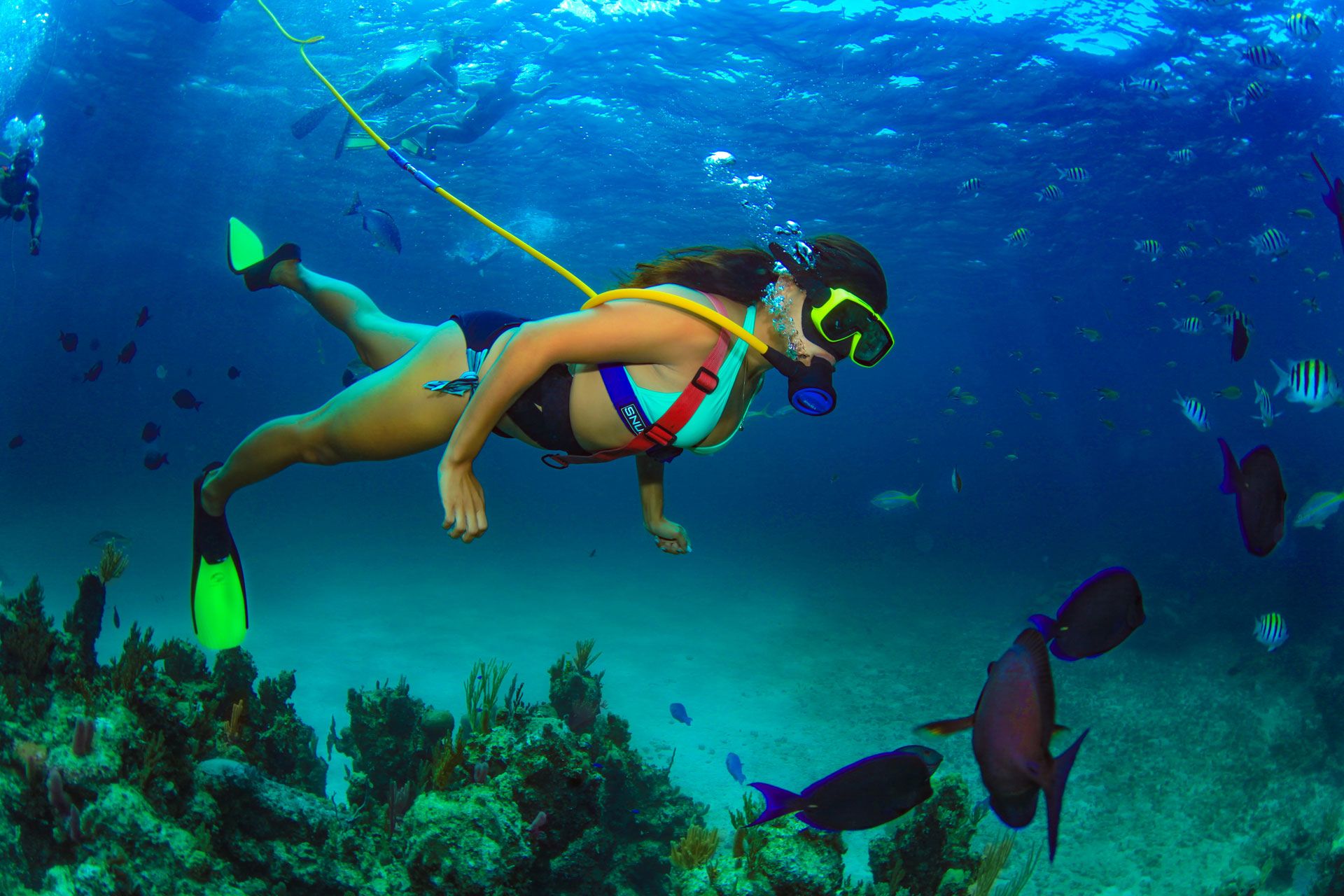 Woman SNUBA® diving over reef