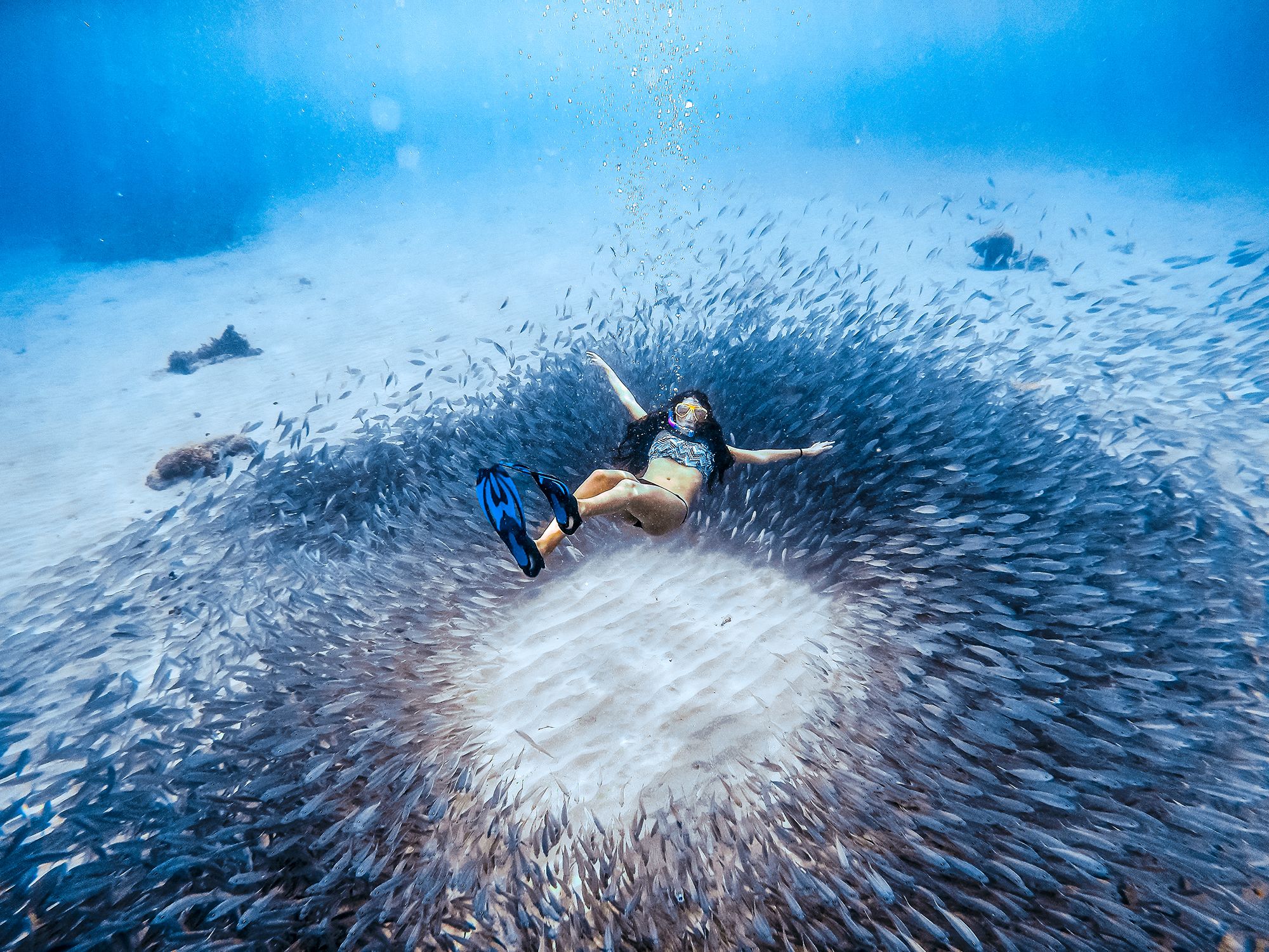Curacao Snorkeling Underwater2