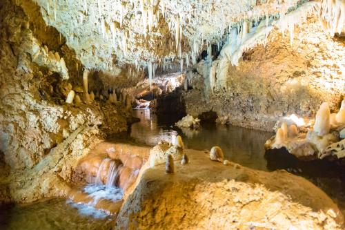 Harrison’s Cave Barbados: A Magical  Underground Adventure